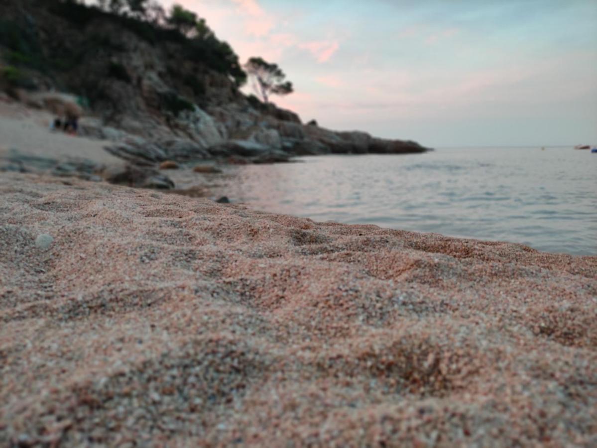 Apartamento Con Piscina - Tossa - Magnificas Vistas Al Mar Girona Eksteriør bilde